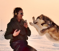 Enregistrement de chiens huskies | Iqaluit NU